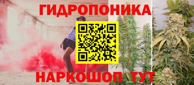гидропоника Краснокаменск