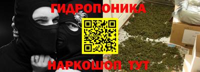 шишки Краснодар