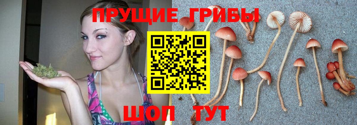 Псилоцибиновые грибы GOLDEN TEACHER  Вход с VPN  Псилоцибиновые грибы ЛСД  Дубна 