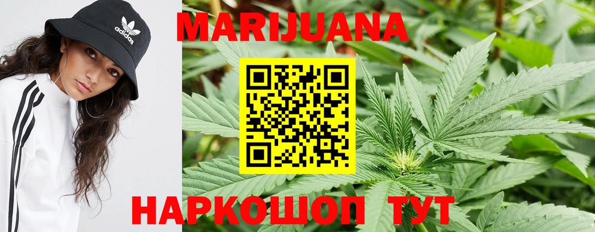 Дубна  МАРИХУАНА планчик  Конопля Amnesia  Вход с VPN  Марихуана сатива 